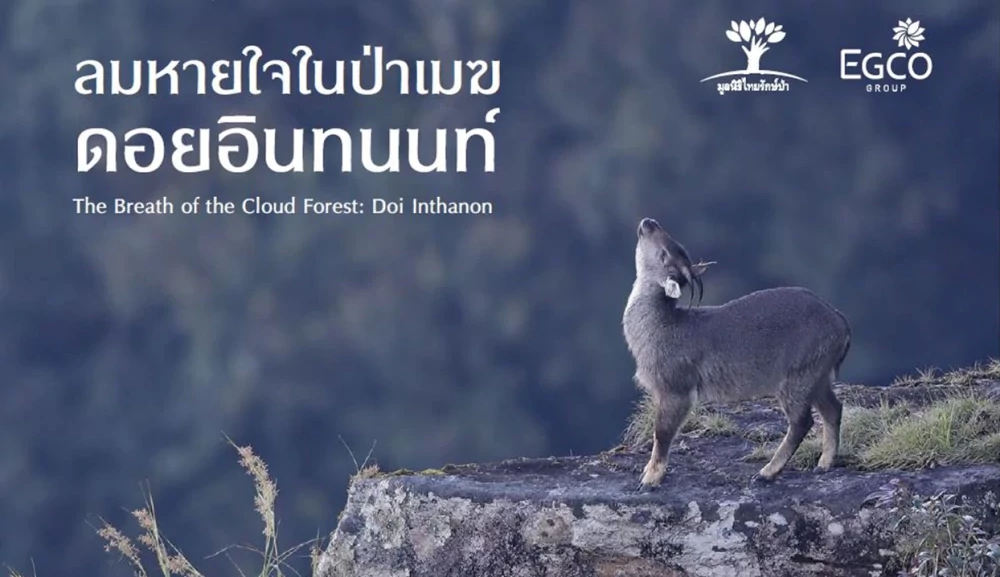 EGCO Group โดย มูลนิธิไทยรักษ์ป่า ชวนมาสัมผัสป่าต้นน้ำและสัตว์ป่าบนดอยอินทนนท์ ในนิทรรศการภาพถ่าย “ลมหายใจในป่าเมฆ ดอยอินทนนท์” ณ หอศิลปกรุงเทพฯ 4 - 16 ก.พ. 68